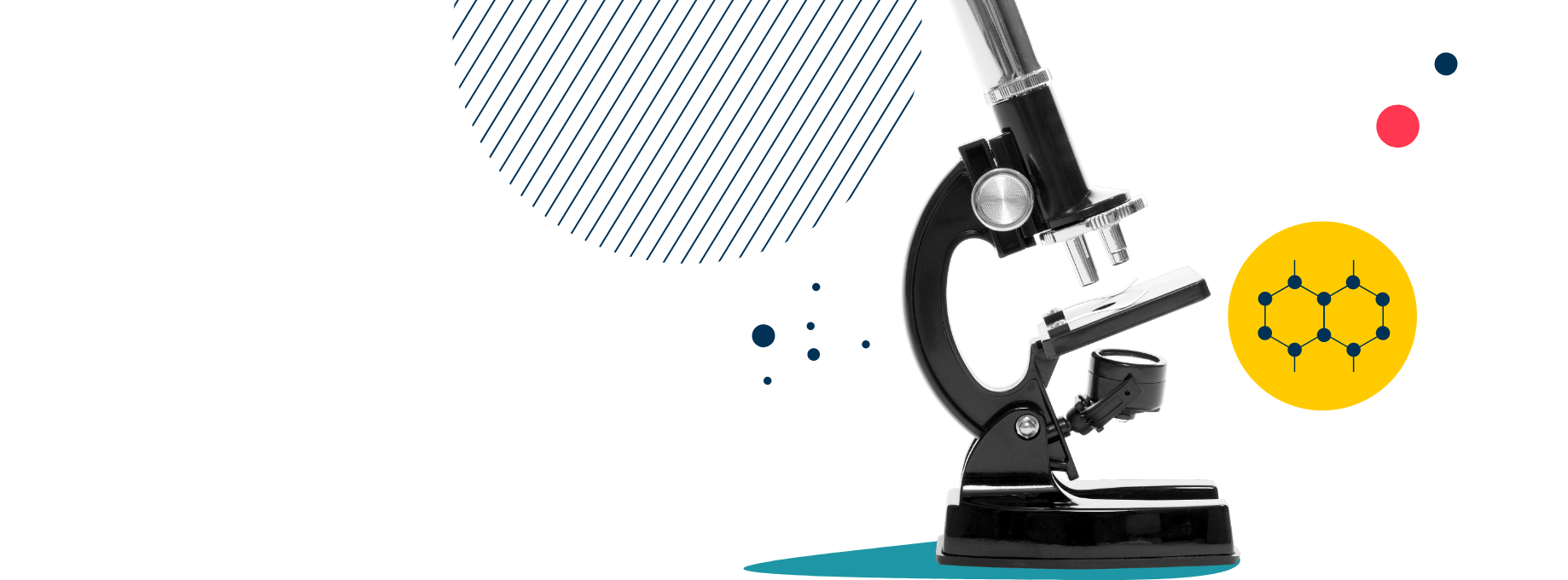 大连美国国际学校 |Welcome to DAIS - 03 - Feature Cards Pattern