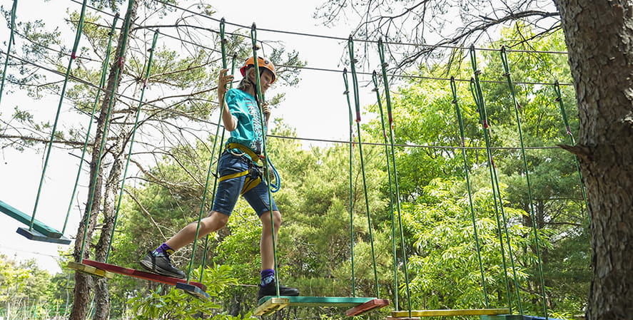 Wilderness camp and rope park