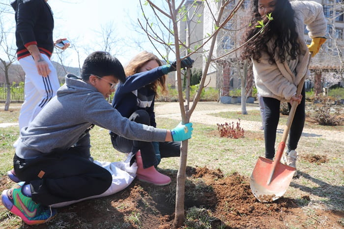 planting trees on school campus